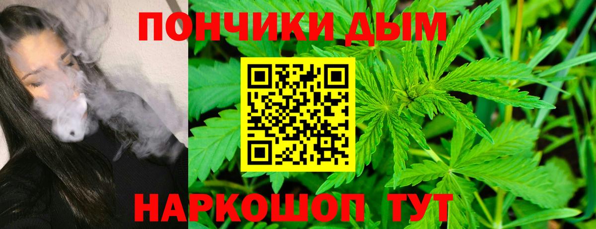 Марихуана сатива  Канабис тримм  Соликамск  Вход с VPN  Конопля Amnesia  Каннабис VHQ 